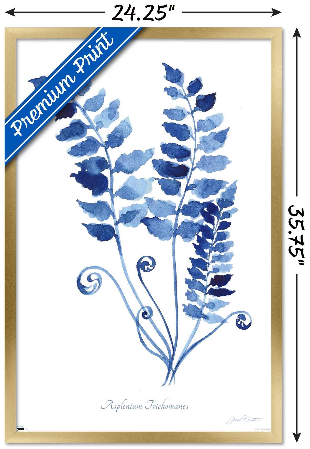 Jean Plout - Indigo Botanical Asplenium Trichomanes Wall Poster, 22.375" x 34" Framed