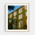 thumbnail image 2 of Building Ivy 04 - Manhattan New York Photography Architecture Botanical Vintage Cityscape Nature Unframed Wall Art Print 11 x 14 inches, 2 of 13