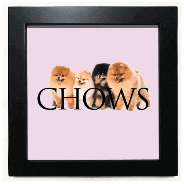 Chow Chinese Pet Hair Art Deco Fashion Black Square Frame Picture Wall Tabletop