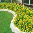 thumbnail image 3 of Morttic 6 Bundles Outdoor Artificial Flowers UV Resistant Fake Boxwood Greenery Shrubs Faux Plastic Plants Decor for Indoor Outside Hanging Planter Yard Farmhouse Home Garden Wedding (Yellow), 3 of 10