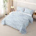 thumbnail image 3 of Homewish Spooky Halloween Skull Bed Spread Queen,Vintage Damask Queen Coverlet Set,Blue,3pcs, 3 of 7