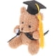 thumbnail image 4 of KAKOWELY Mini oso de graduación, oso de flores, ramo de decoración, regalo de graduación, 4 of 5