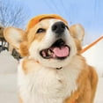 thumbnail image 5 of Harikaji Dog Beret Hat, Dog Cap with Adjustable Elastic Strap, Dog Costume Hair Accessory Photo Props, Pet Hat for Cat Small Medium Dog (Head Girth<14.5") Orange, 5 of 7