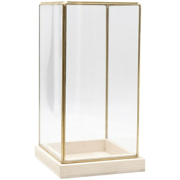 PTOOTP Multi-Functional Glass Display Box with Brass and Wooden Base for Collectibles and Home Decor
