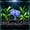 🌻Purple_Hot#71, variant on Aquarium Sea Anemone Ornament Silicone Glowing Fish Tank Decor for Freshwater and Saltwater Bettas Shrimp and Turtle Tanks