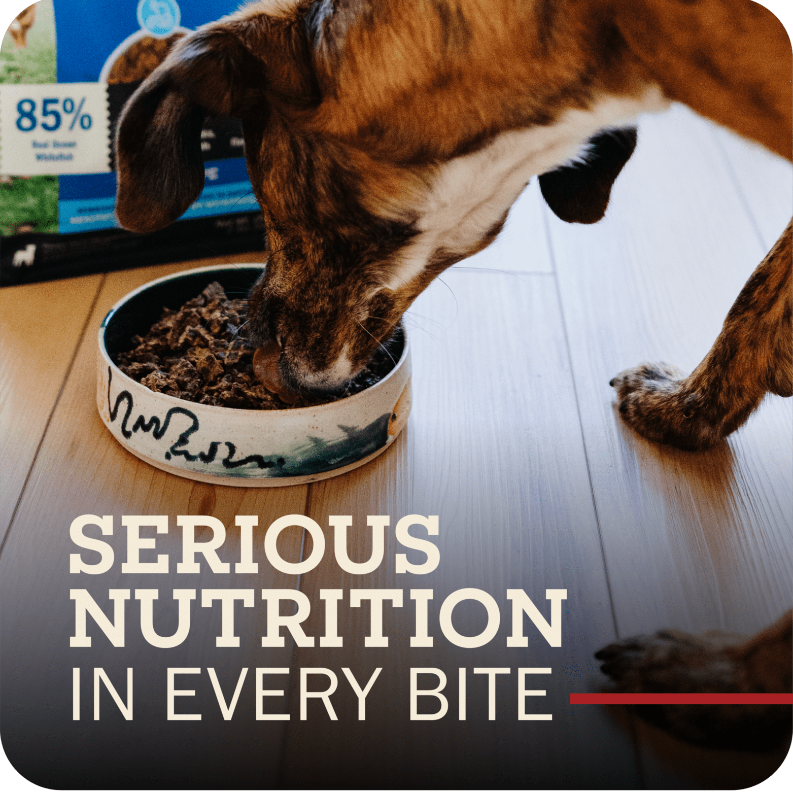 Redbarn Pet Products Air-Dried Dog Food