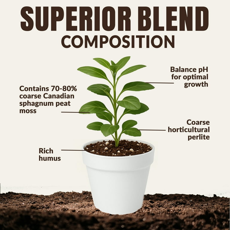 Old Potters High Porosity Soil Mix, Enhanced with Peat Moss and Perlite, Perfect for Smaller Pots, Cactus & Succulents - Promote