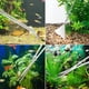 thumbnail image 4 of Pinzas para plantas acuáticas, herramienta de espátula de tijera, raspadores de acuario, herramientas de plantas de acuario de acero inoxidable 4 en 1 para kits de iniciación de peces y kit de, 4 of 8