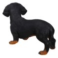 thumbnail image 5 of Garden Decor Animal Statue Standing Dachshund Statue, 5 of 5
