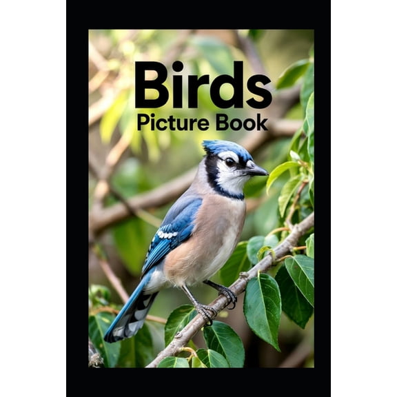 Birds Picture Book, (Paperback)