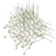 thumbnail image 1 of 3x 100 Piezas de Bayas Artificiales, , Estambres de , Decoración para El , , Escritorio, Manualida 3 piezas, 1 of 8