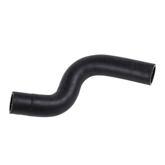 Radiator Outlet Hose
