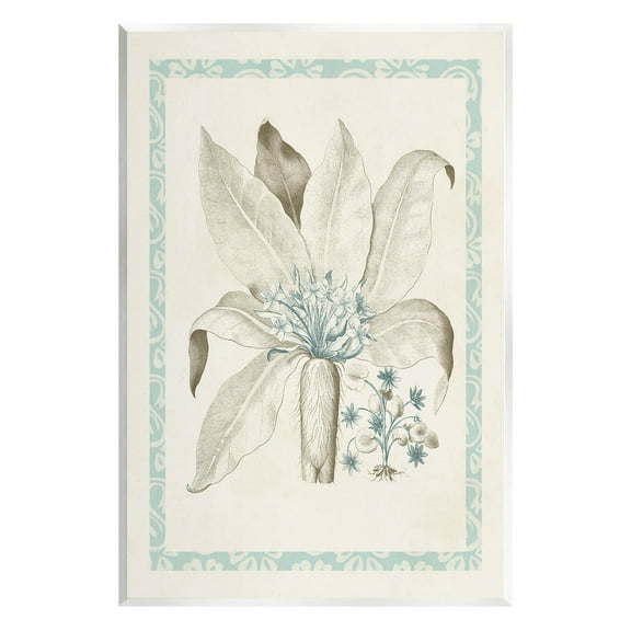 Stupell Industries Detailed Plant Study Botanicals Graphic Art Unframed Art Print Wall Art, Design by Vision Studio