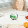 thumbnail image 4 of SKISUNO 2Pcs Simple and Elegant Fish Bowl for Fish Lovers, 4 of 6
