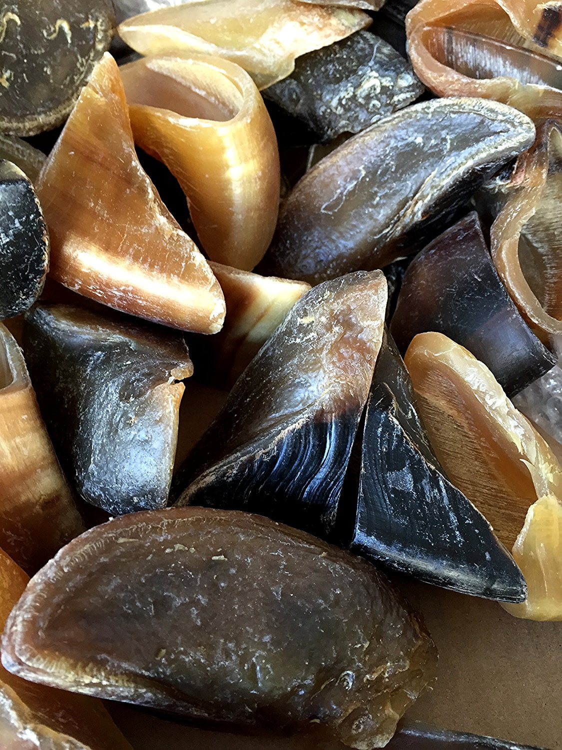 Smoked Cow Hooves 25 Pack 100 Natural Dog Dental Treats Beef