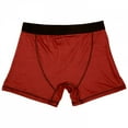 thumbnail image 6 of Spider-Man Web and Small Symbol Boxer Briefs-3XLarge (48-50), 6 of 7