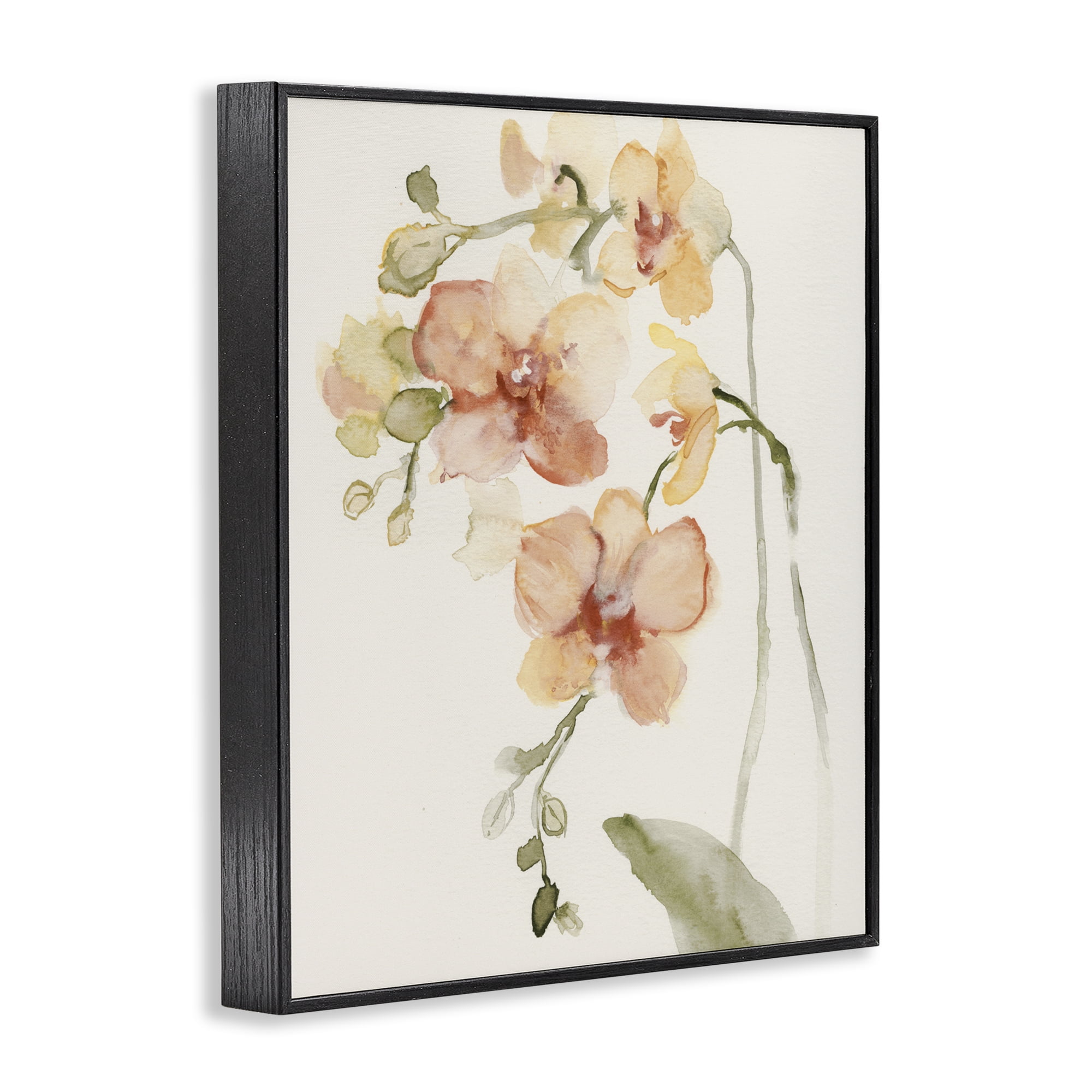 Stupell Industries Peach Orchid in Bloom Black Framed Giclee Art, design by Victoria Barnes