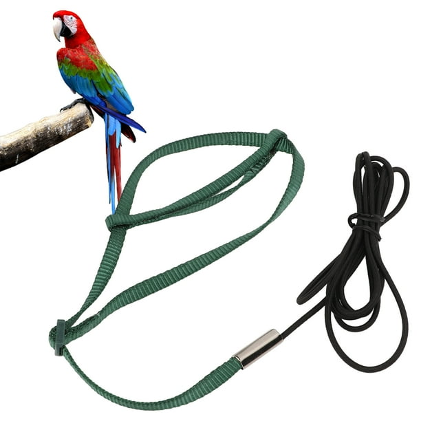Correa Ajustable Para Arnés De Pájaros Para Cockatiel Lovebird, Cuerda Elástica De Entrenamiento Volador Con Hebilla De Metal, Ligero Y Cómodo, Adecuado Para Caminar Y