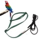 thumbnail image 1 of Correa Ajustable Para Arnés De Pájaros Para Cockatiel Lovebird, Cuerda Elástica De Entrenamiento Volador Con Hebilla De Metal, Ligero Y Cómodo, Adecuado Para Caminar Y, 1 of 7