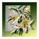 thumbnail image 1 of Kit de pintura de diamantes 5D Mosaico de diamantes redondos completos de flores DIY Likrtyny Arte deco, 1 of 9