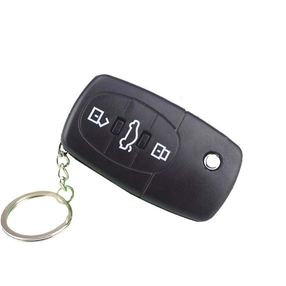 Shocking Car Key, Novelty Shocker Key Fob Keychain Practical Joke Gag  Prank, 2.75 (Single)