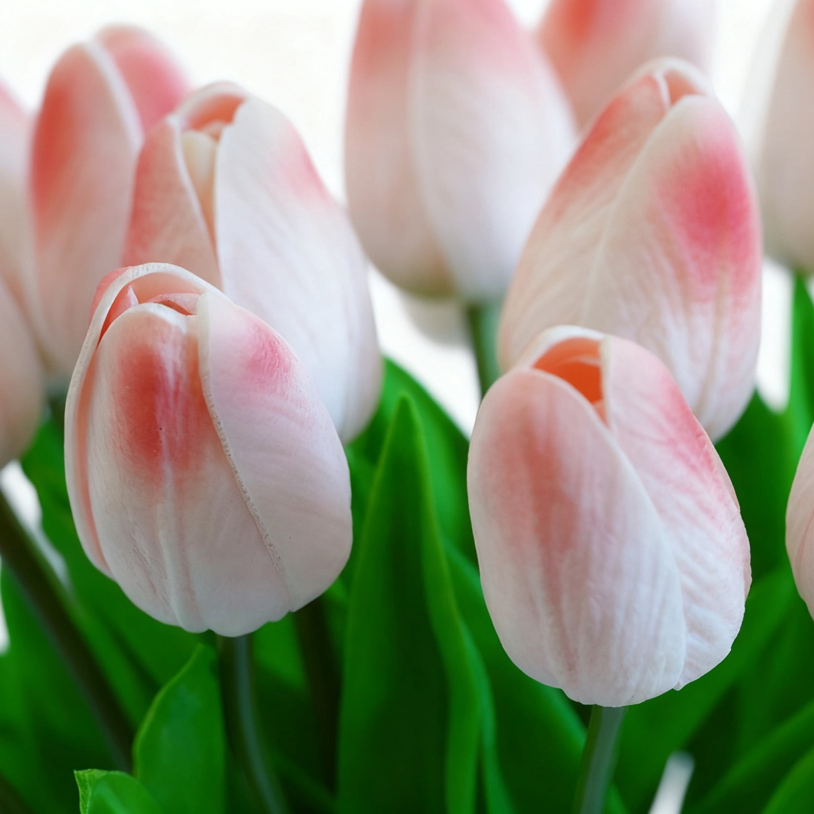 20 Pcs Artificial Real Touch Tulips Flowers in Glass Vase with Faux Water, Tulips Fake Arrangements Orange Tulip with Vase for Dining Table Home Decor Wedding Centerpieces