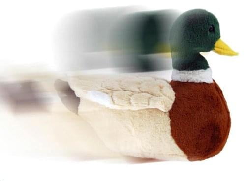 wood duck stuffed animal