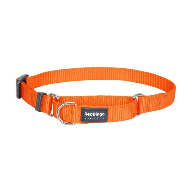 Red Dingo MC-ZZ-OR-20 Martingale Classic Orange - Medium