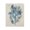 Misty Blue Coral Study, variant on Stupell Industries Fan Coral in Blue & Green Black Framed Floater Canvas Wall Art, design by Amber Sterling