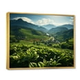 thumbnail image 2 of Designart "Tea Plantation in Thailand" Landscapes Floater Framed Wall Art Print, 2 of 7