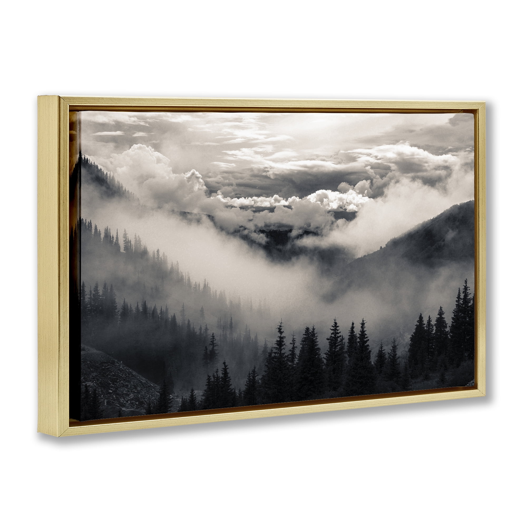 Billowing Fog Atmosphere Gold Framed Floater Canvas Wall Art, design by Decent Exposures