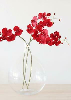 38 Phalaenopsis Orchid Spray Red Pack of 6