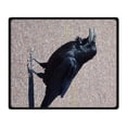 thumbnail image 2 of CADecor Crow Blanket Fleece Throw Blanket for Sofa or Bed 58x80 inches, 2 of 3