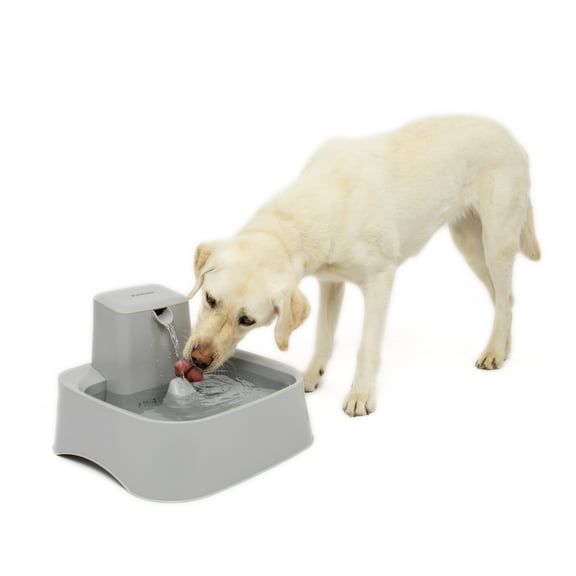 PetSafe Drinkwell Dog and Cat Water Fountain, Best for Large Dog Breeds and Multiple Pet Households, Easy-to-Clean Design, Filter Included