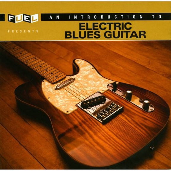 An Introduction To Electric Blues Guitar (Remaster)