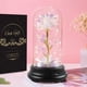 thumbnail image 1 of La Bella y la Bestia rosa, rosa eterna regalo para ella en una cúpula, rosas artificiales de colores con luz LED para el Día de San Valentín, Navidad, Día de la Madre, cumpleaños, aniversario, 1 of 4