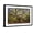 Black Frame, variant on Art.com USA, South Carolina, Charleston, Angel Oak Photographic Print by Hollice Looney, 24" x 16"