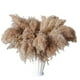 thumbnail image 1 of 30 Stems Dried Pampas Grass, Pampas Grass Fluffy Pampas Floral,17 Inch Bulk Pampas Grass Decor flow, 1 of 5