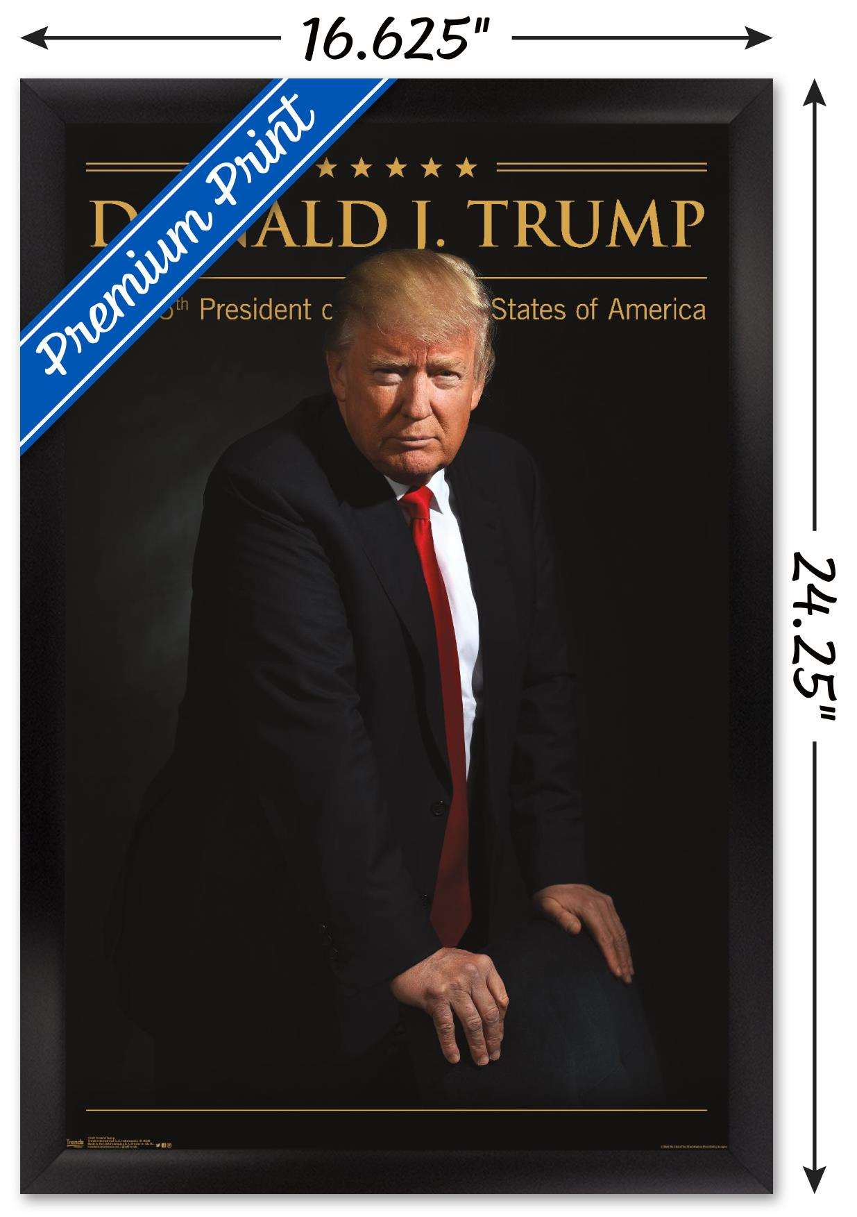 President Donald Trump Wall Poster, 14.725" x 22.375", Framed