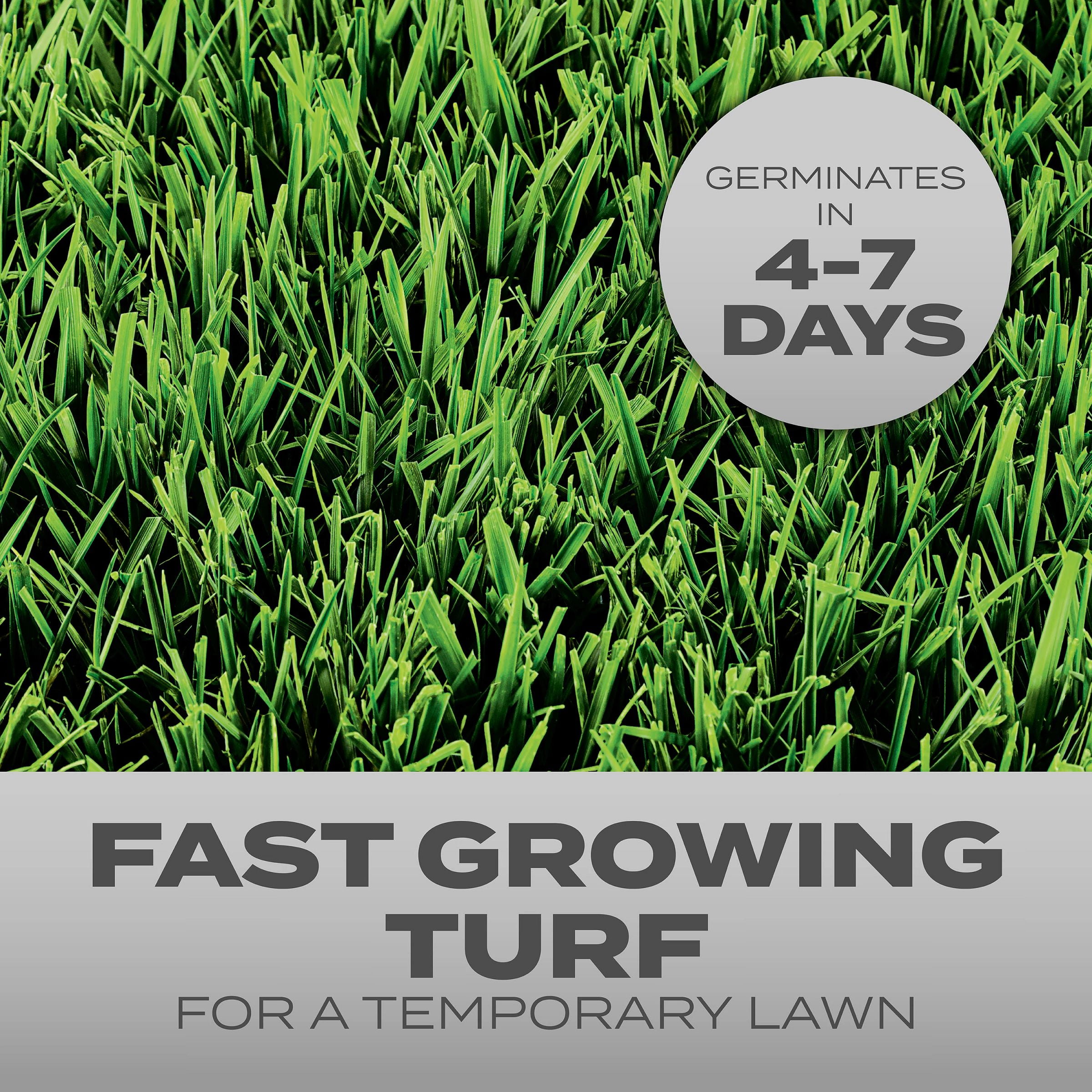 Scotts Turf Builder Grass Seed Quick Fix Mix, 3 lbs.