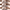 Rose Gold, variant on Wonder Nation Girls Gladiator Sandals