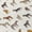 Ivory, variant on Addison Rugs Chantille Indoor/Outdoor Transitional Animal Beige Machine Washable Rectangle Rug, 10' x 14'