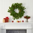 thumbnail image 5 of Nearly Natural 28in. Holly Berry Artificial Wreath, 5 of 5