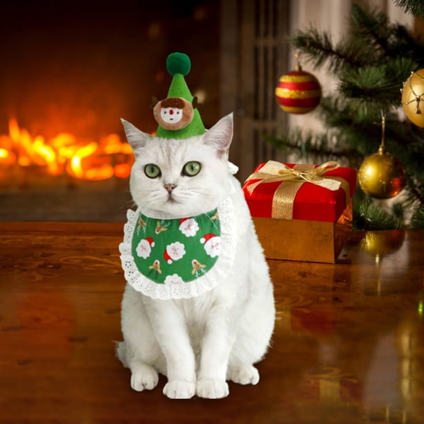 Conjunto de gorro y babero Salvador Navidad para perros y gatos pequeños Verde