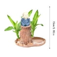 Brazil Wood Potted Plant & Brazil Wood Hydroponic Tree Stump With 1Dolls & Tray Magical