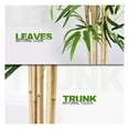thumbnail image 3 of Drevy 5 Feet Artificial Bamboo Silk Tree, Decorative Indoor House Fake Plant, Artificial Leafy Tree Faux Potted Indoor Floor Plant for Home Office Decor, 3 of 7