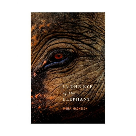 In the Eye of the Elephant, (Paperback)