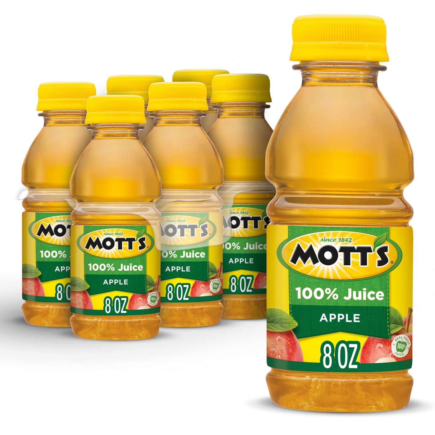 2 Pack Mott's 100% Apple Juice 8 oz Bottles