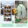 thumbnail image 5 of ZMSHOP 4-Tier Mini Greenhouse Portable Green House with Shelves & Weather-Resistant PE Cover, Small Greenhouse for Seedlings & Gardening Gifts, 27x19x64 in, Clear/White, 5 of 9