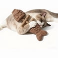 thumbnail image 3 of Natural Fishbone Cat Dental Toy, 7In Cat Chew Toy with Catnip & Natural Silvervine, Healthy Teeth Cleaning Dental Chew for Indoor Cats and All Cat Breeds with Edible Design, 3 of 6